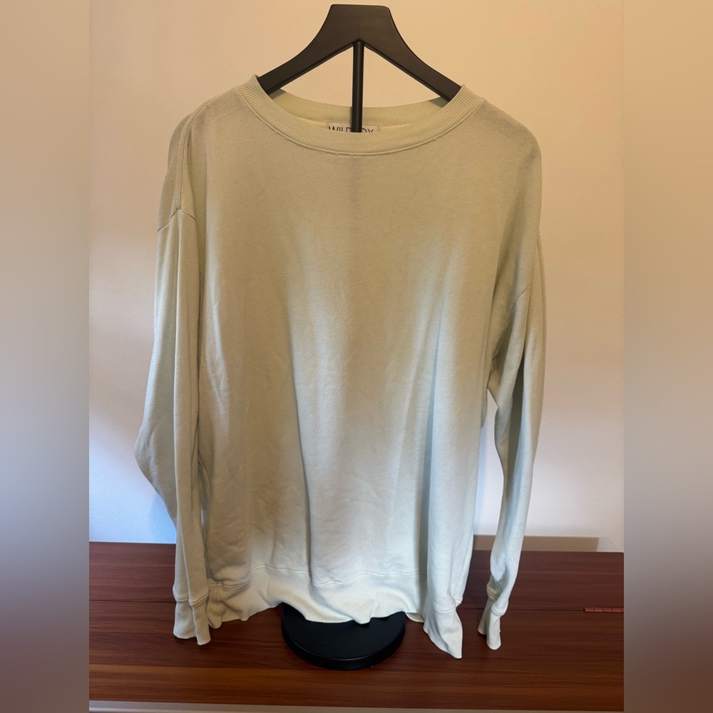 Wildfox Pale Green Sweatshirt